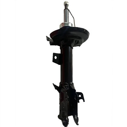 BE8Z18124B Ford amortizators
